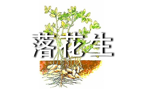 ���仨�����ڌ������������c(di��n)