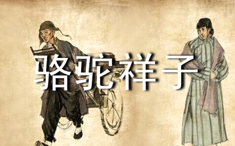 駱駝祥子讀書筆記范文