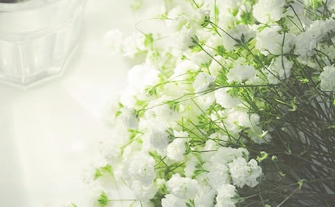 �M��������2000��