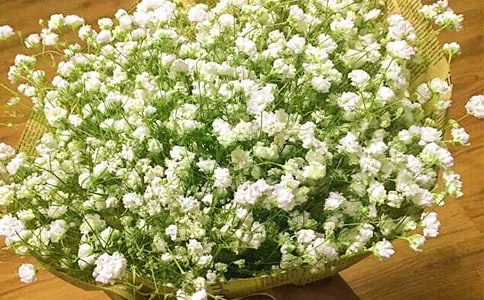 �Ґ۝M����400������