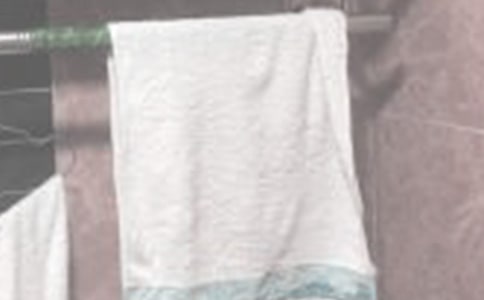 �v�������ë���ı�ِ��Ԣ������