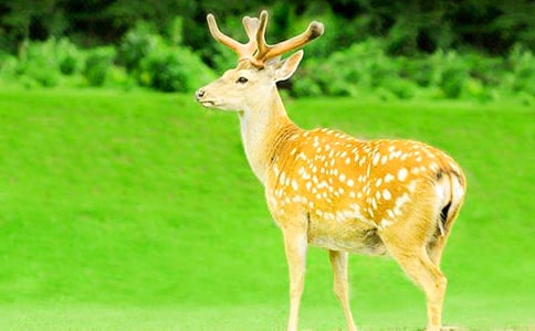 �C���c÷��¹С�W������250��