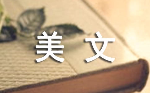���x�p�Z�����p��