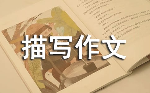 �����茑����300�փ�(y��u)�x��7ƪ��