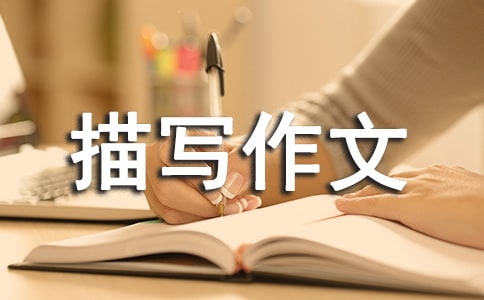 �����茑����300�֣�ͨ��44ƪ��