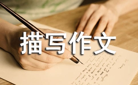 �����茑���ģ�����10ƪ��