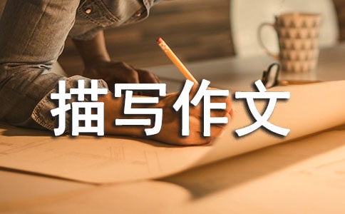 ���õ������茑����300�օR��9ƪ