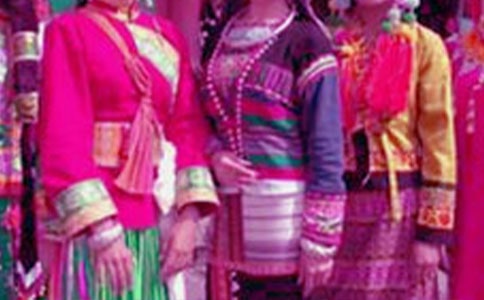 Т�������A������������ģ�ͨ��24ƪ��