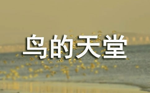 С�W�Z�ġ��B�����á��ă���̰��OӋ