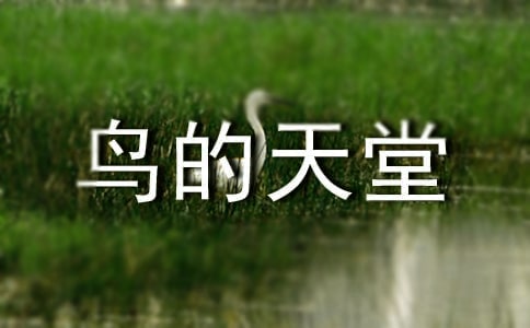 �B���������ģ��\��15ƪ��