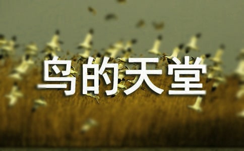 �B�������Z�Ľ̌W(xu��)�̰��O(sh��)Ӌ(j��)