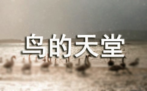 �Z�ġ��B�����á��̰��OӋ