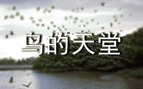 �B(ni��o)����������