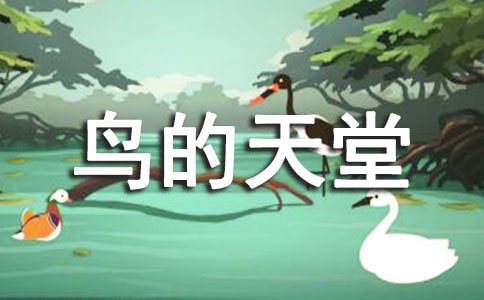���B�����á�������
