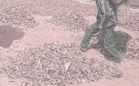 �y���ČW(xu��)�r(n��ng)�������