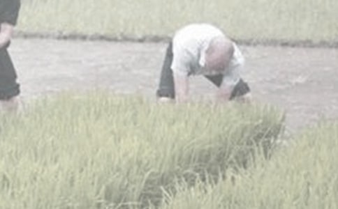 �W�r������꼉����