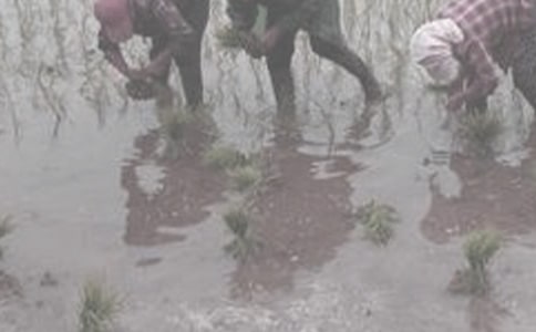 �W�r����ĵ�����500��