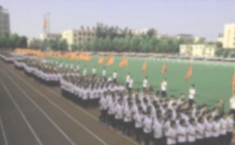 800������ �ܲ�