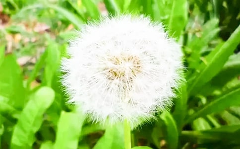 �ѹ�Ӣ���ġ����x��