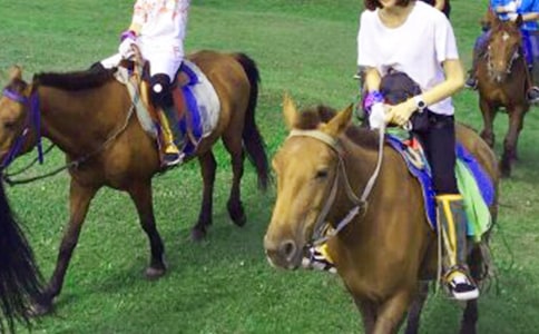 �T�R������300�ּ���10ƪ