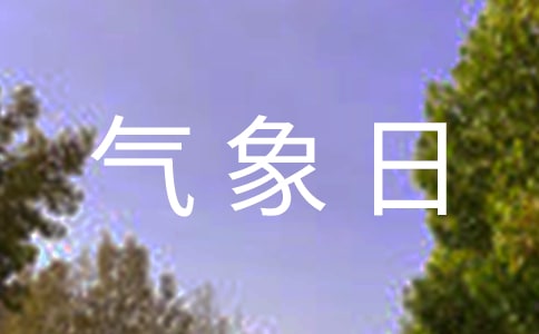 ���������������ӿ��Y