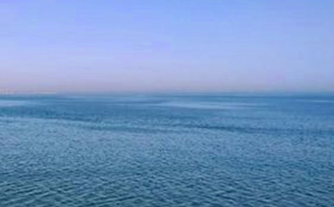 �P���ػʍu����ӛ���ķ��ģ����x41ƪ��