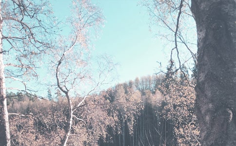 С�W�����ҵ��＾