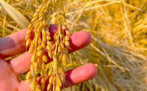 ��ëŮ�����ա��ĸ��~