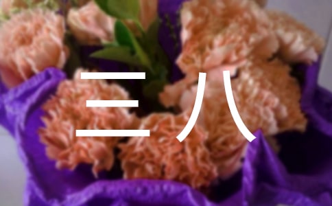 �옷����������15ƪ