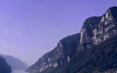 �S�����{�w������