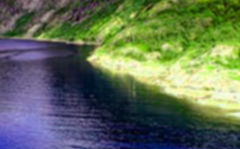 �P��ɽˮ�ĸ�һ����
