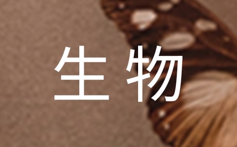 �����ĵ��w��(���x15ƪ)