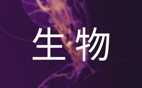 �����ĵ��w��