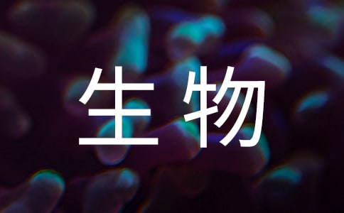 ���I������������ӛ