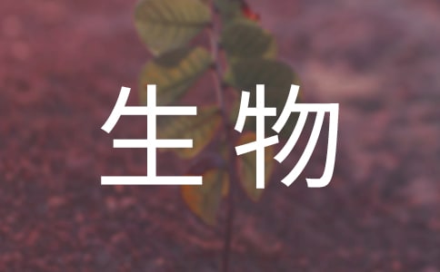 �����ĵ��w��15ƪ