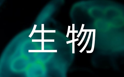 ��W�������ĵ��w��