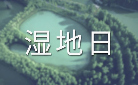 世界濕地日手抄報簡單