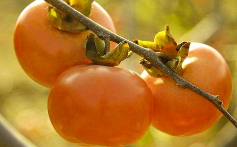 �ҵ����Ә�����