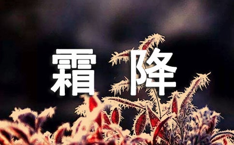 2016�r��Փ����˪���Ě������