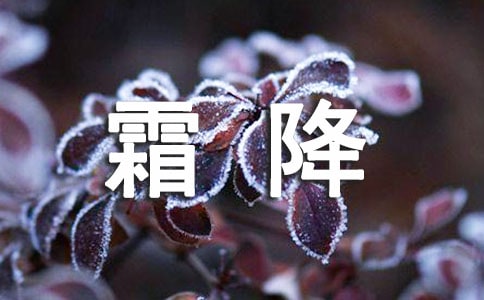 ���r��Փ����˪�����������ʲô�ʳ������