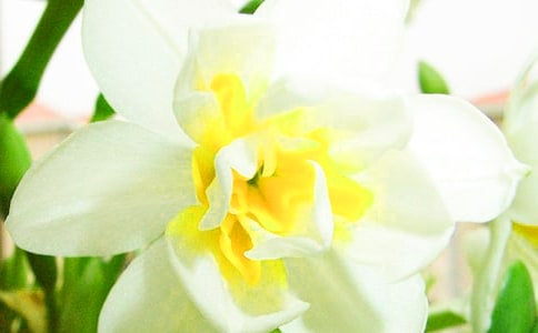 ˮ�ɻ�����W������