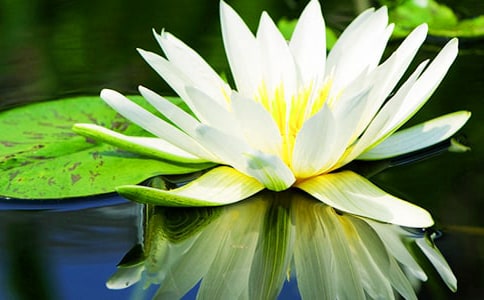 �Ґ�˯ɏ���꼉����