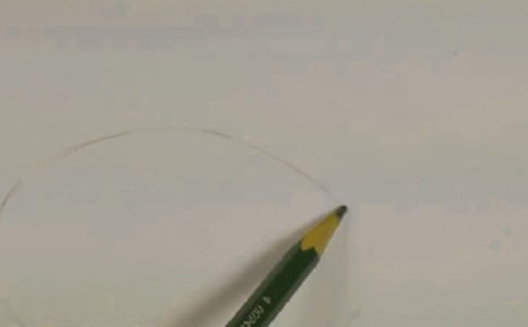 �W�����������800��