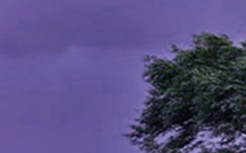 �P�ڏ��_�L���ص�����