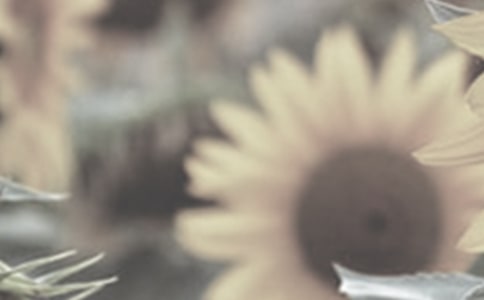 �а�̫ꖻ��̰�