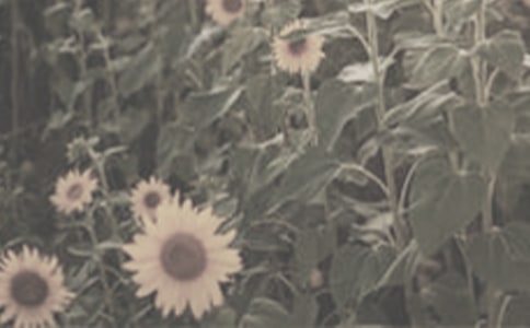 �а����g��̫ꖻ���������ӽ̰�