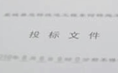 聯合體投標協議書13篇