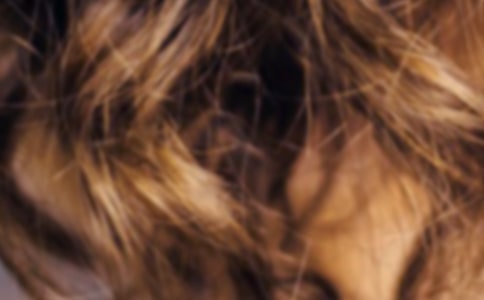 �L�^�l�ğ�������