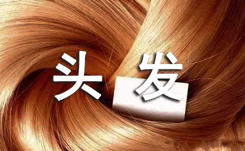 �P��ϴ�^�l1000������