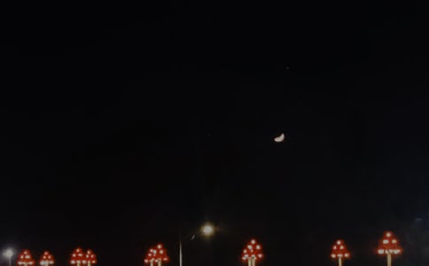 睡前晚安故事合集【15篇】